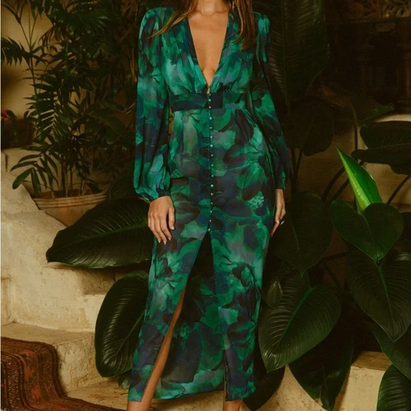 NWT Runaway The Label Calista Deep-V Button Front Long Sleeve Sheer Midi Dress - Picture 4 of 16